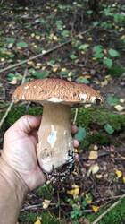 IMG20260724114207.jpg