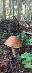 IMG_0129.JPG