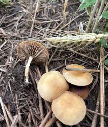 IMG_0581.jpeg