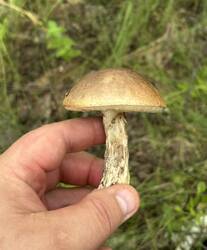 IMG_0614.jpeg