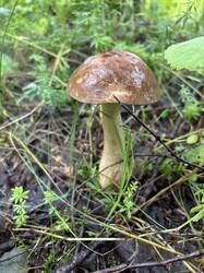 IMG_0668.jpeg