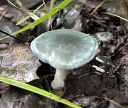 IMG_0677.jpeg