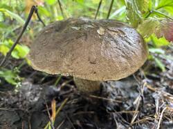 IMG_0689.jpeg
