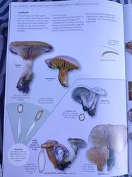 IMG_20230904_144729.thumb.jpg.8bce5b3cd9c01a9eb5450d0f449921c8.jpg