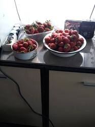 IMG_20260625_120111_782.jpg
