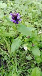 IMG_20260626_065942.jpg