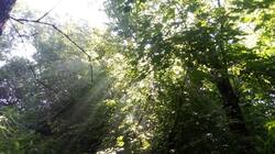 IMG_20260630_081856.thumb.jpg.00426537c82f0cface8ef67fe069f170.jpg
