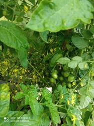 IMG_20260702_135514.jpg
