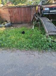 IMG_20260703_173444.jpg