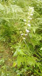 IMG_20260704_065916.jpg