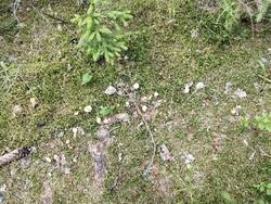 IMG_20260704_181851.jpg