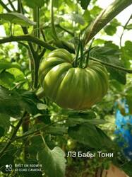 IMG_20260706_135708.jpg