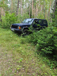 IMG_20260710_150016.jpg