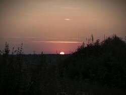 IMG_20260711_041142.jpg