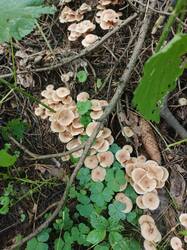 IMG_20260711_080125_448.jpg
