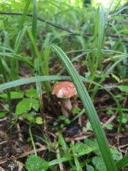 IMG_20260712_095713_899.thumb.jpg.bfdab4602126d43c86d660ca17fc6695.jpg