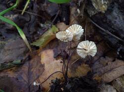 IMG_20260712_133222_gcam_3.2.thumb.jpg.a4b5e7aba97bdadb0fc5d074192747f0.jpg
