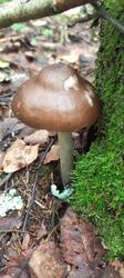 IMG_20260714_080024_292.thumb.jpg.74d7f654919f4412f01df920d76b61ab.jpg