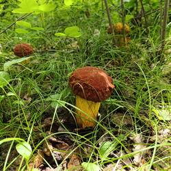 IMG_20260714_134315.jpg