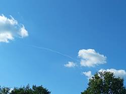 IMG_20260714_162750_613.jpg