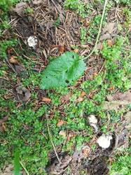 IMG_20260715_085148_797.jpg
