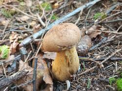 IMG_20260715_120416_056.jpg