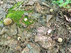 IMG_20260716_155003_641.jpg