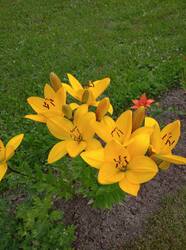IMG_20260716_191827.jpg