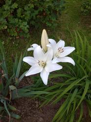 IMG_20260716_191836.jpg
