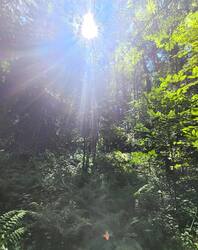 IMG_20260717_171716.jpg