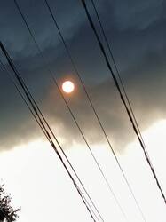 IMG_20260718_065704_480.jpg