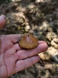 IMG_20260718_102036.jpg