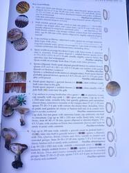 IMG_20260719_005134.thumb.jpg.6932bfa0b818c1449c5ab62f3be547c0.jpg