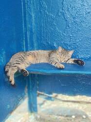 IMG_20260719_071548.thumb.jpg.4cbd6e999f80ad27dcf9689fa9d39fee.jpg