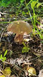 IMG_20260719_154950.jpg