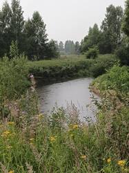 IMG_20260721_075517_658.jpg