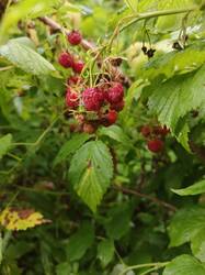 IMG_20260721_094106_148.jpg
