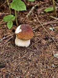 IMG_20260721_162026.jpg
