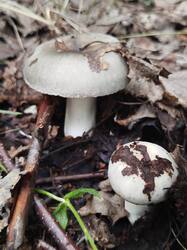 IMG_20260723_120113.jpg