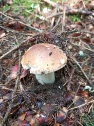IMG_20260724_095121_585.thumb.jpg.e57bb789223628e47248d9aab77c65ec.jpg