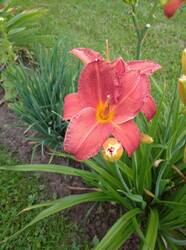 IMG_20260724_182613.jpg