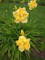 IMG_20260724_182624_1.jpg