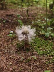 IMG_20260725_071151.jpg