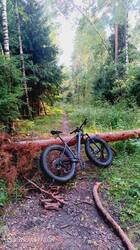 IMG_20260725_170330_666.jpg