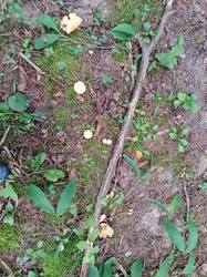 IMG_20260725_170642.jpg
