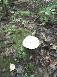 IMG_20260725_185717_560.jpg
