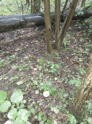 IMG_20260725_185717_613.jpg