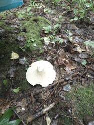 IMG_20260725_185717_780.jpg