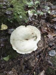 IMG_20260725_185718_057.jpg