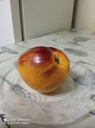 IMG_20260726_183508.thumb.jpg.2e488d9eb870837eae15afa0011a6e1c.jpg
